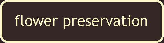 flower preservation